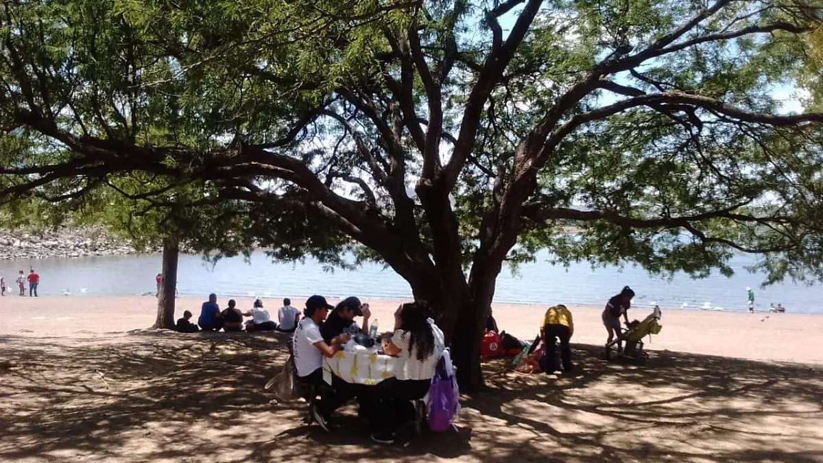 ROSARIO HORTA METROPOLITANO (12)