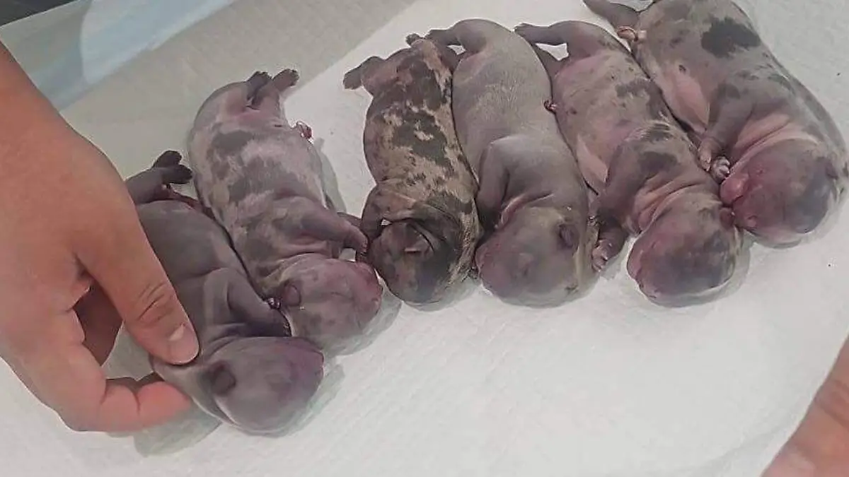 WhatsApp Image 2026-04-06 at 5.42.13 PM