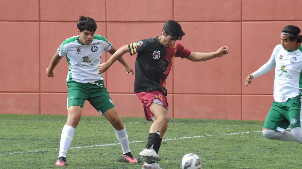 CACHORROS (3) (2) (1) (1)