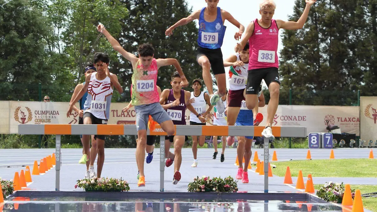 Cortesia CODE Guanajuato (2)