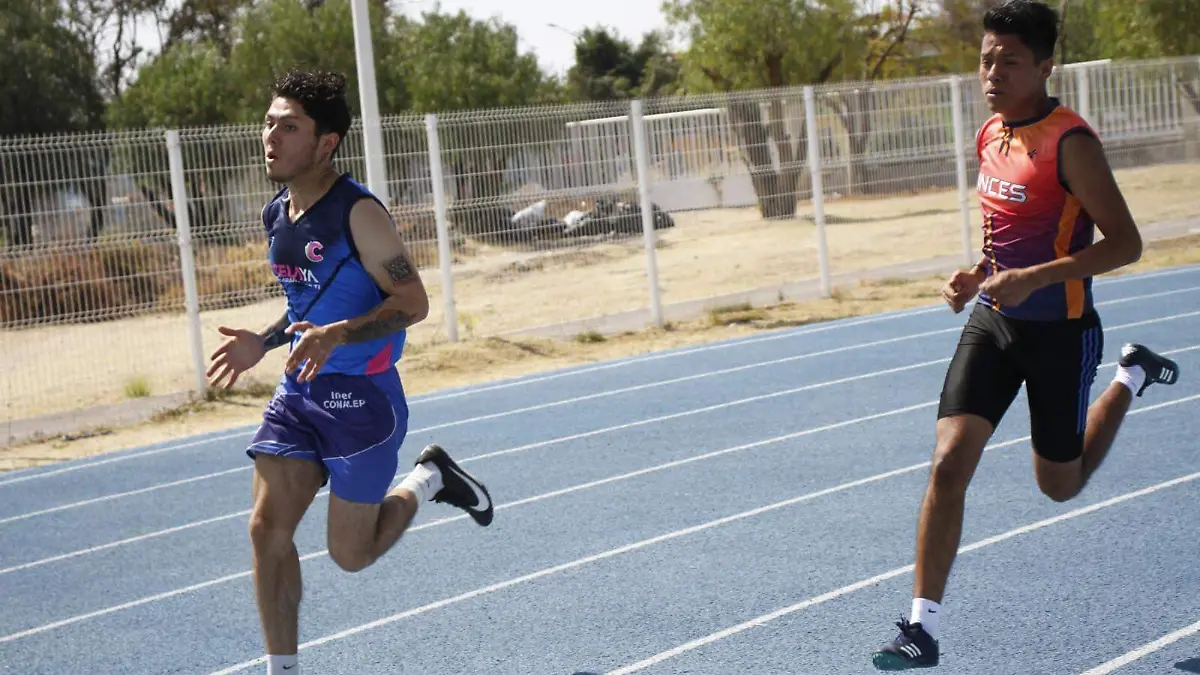 Cortesia CODE GAUANAJUATO (2)