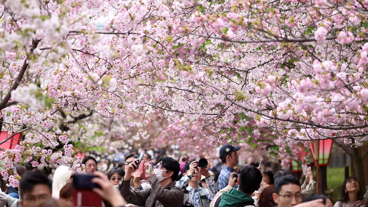 cd4684287fe245681f62cd6d5d8ab5b19c0aaa15