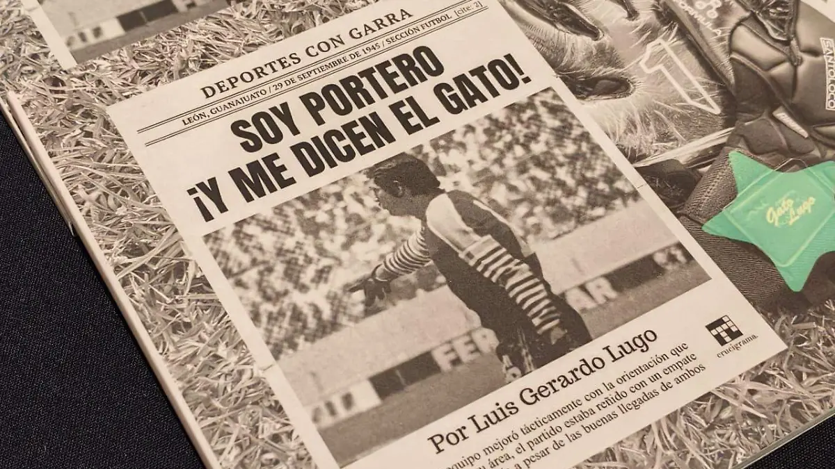 R VAZQUEZ LIBRO GATO LUGO (1)