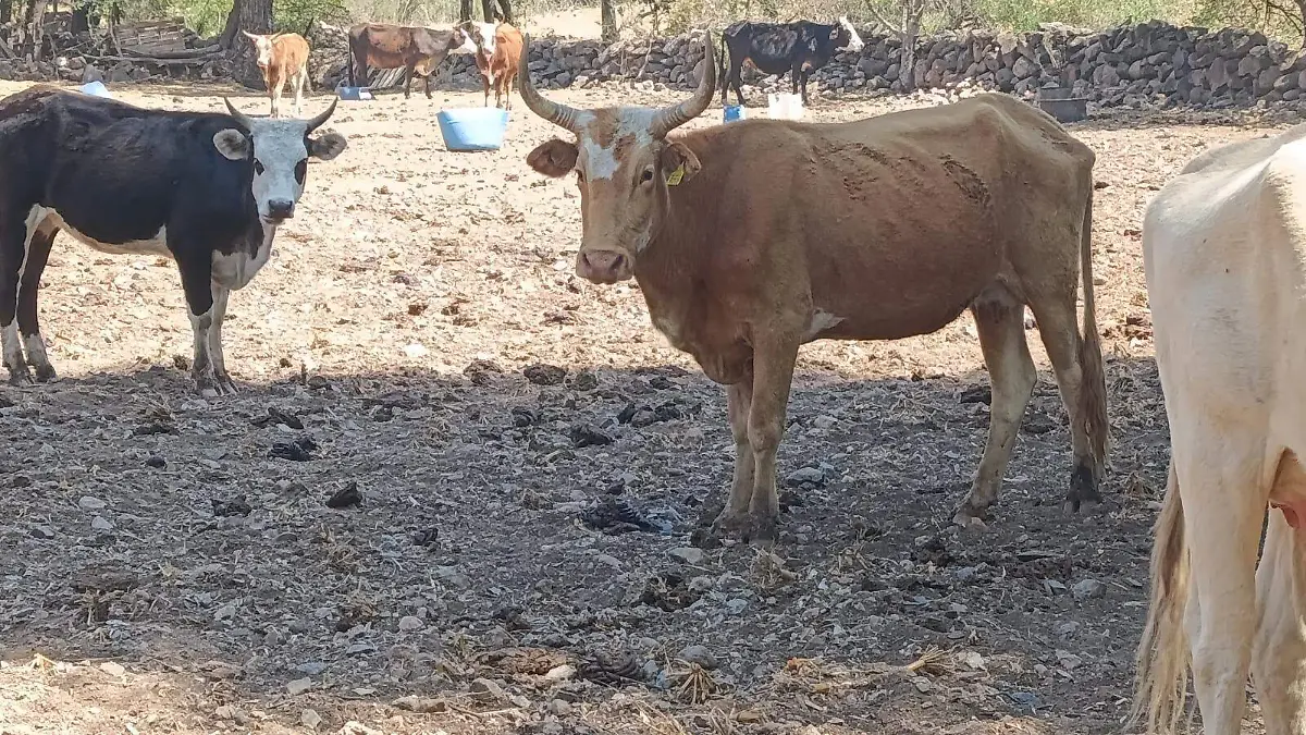 WhatsApp Image 2026-04-18 at 2.22.06 PM (1)