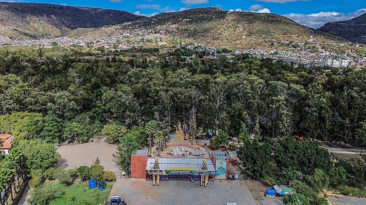 Zoológico - Francisco Meza (5)