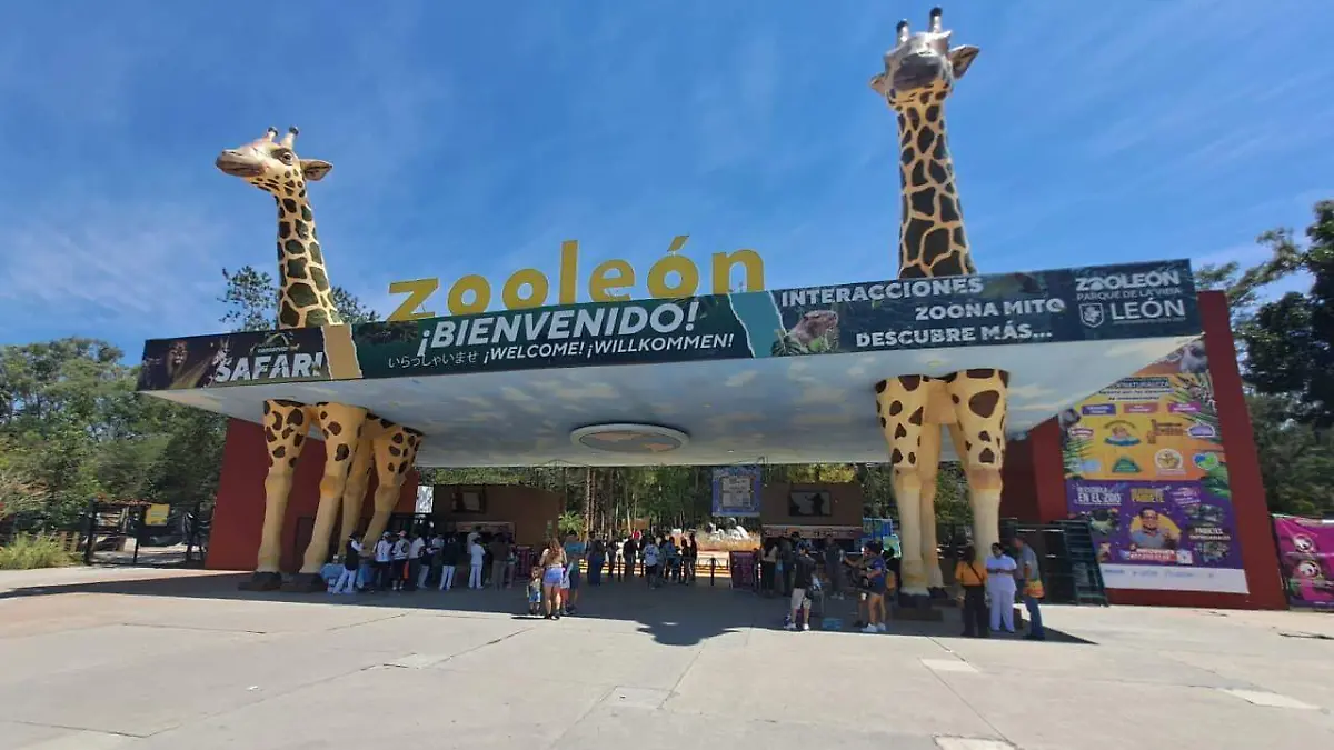 ZOOLÓGICO (1)