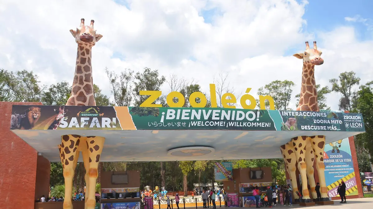 F CARMONA HALLOWEN ZOO (1)