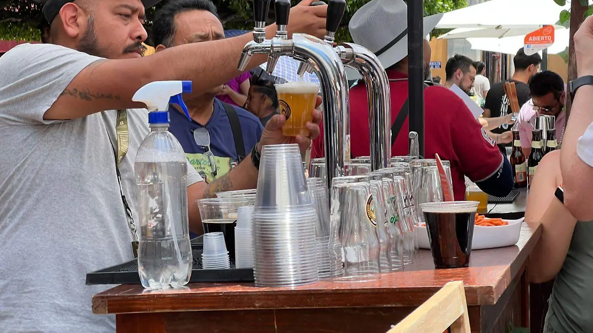Guanajuato – Vente a Guanajuato capital y disfruta de una buena cerveza artesanal (5)