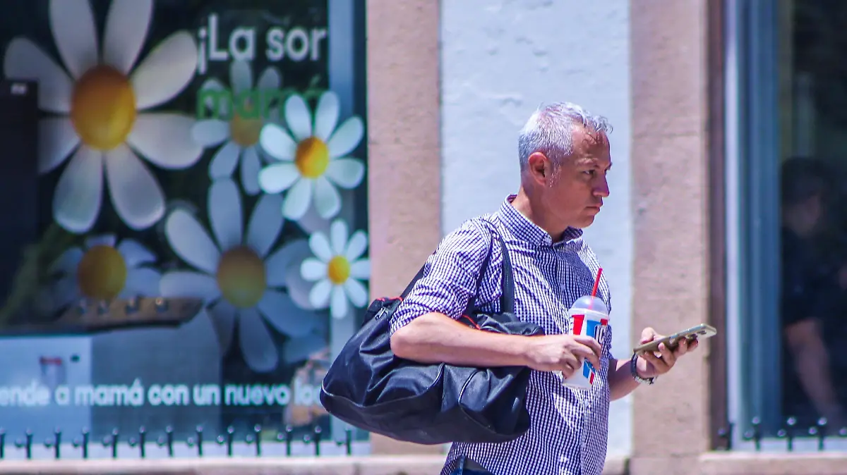 sol de leon