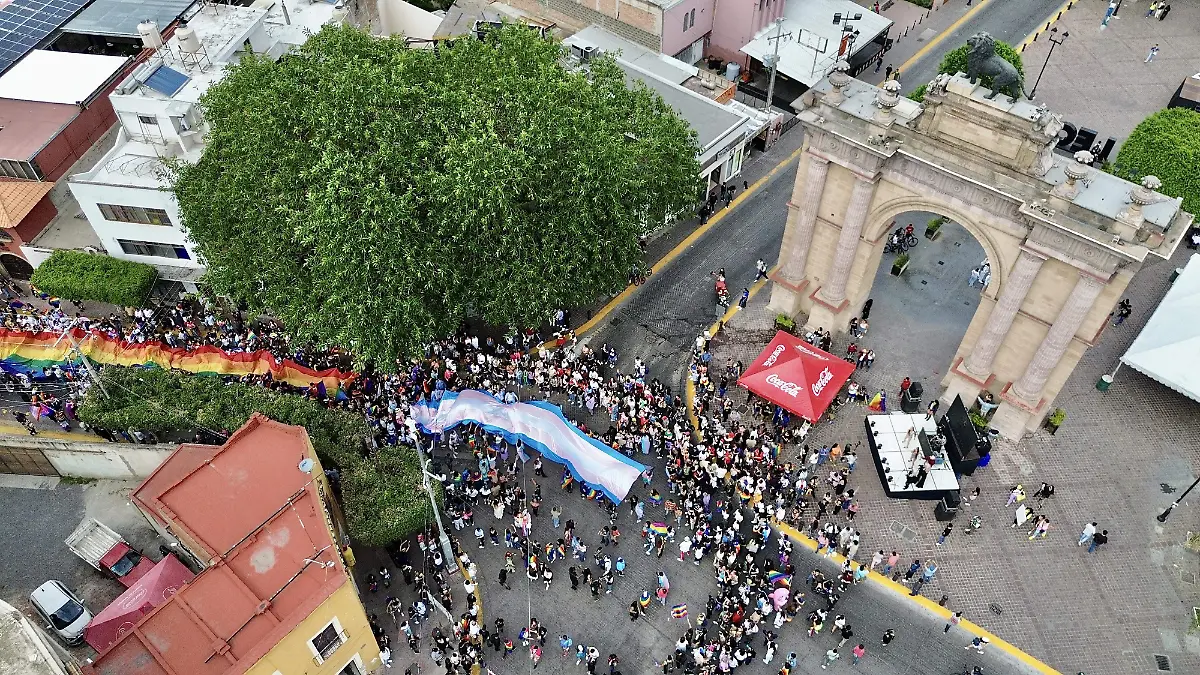 MARCHA PRIDE -FCO MEZA 