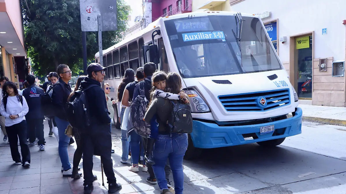 Paradas Transporte Público - Francisco Meza (3)