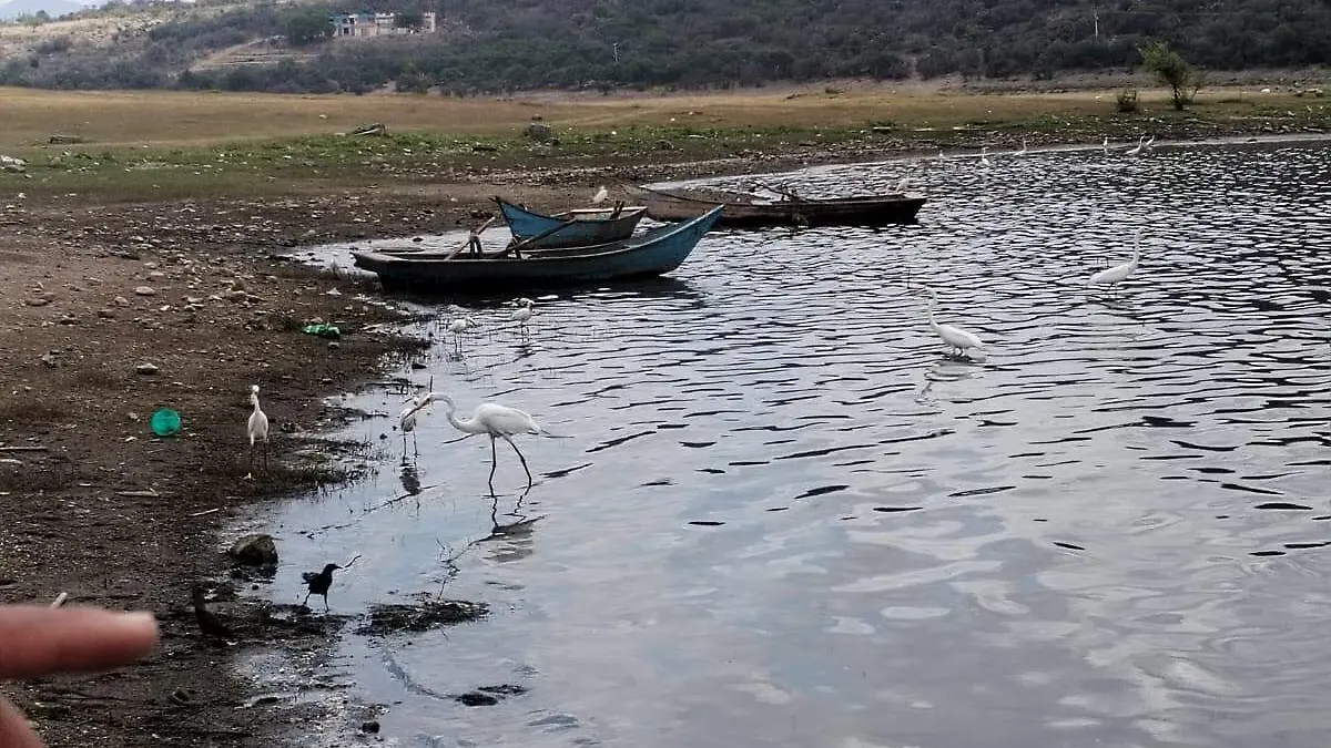 presa
