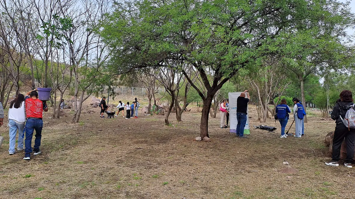 parque chapalita (3)