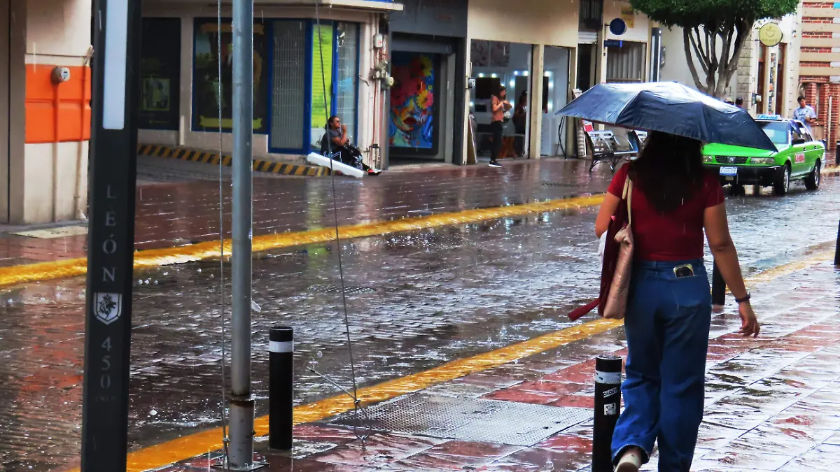 Lluvias - Francisco Meza (1)