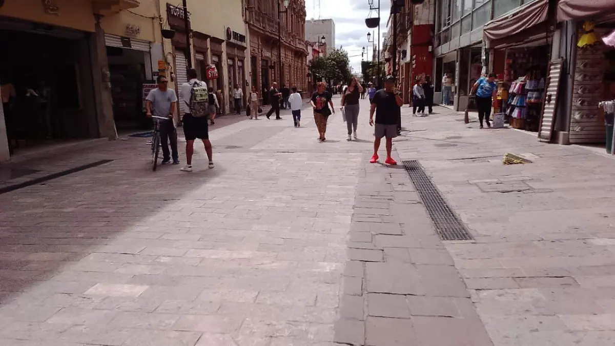 ROSARIO LLAMADAS 911 (1)