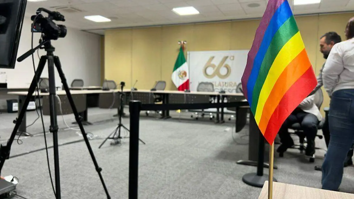 Guanajuato – Requiere mayor análisis la inclusión del concepto de identidad de Género auto percibida  (1)