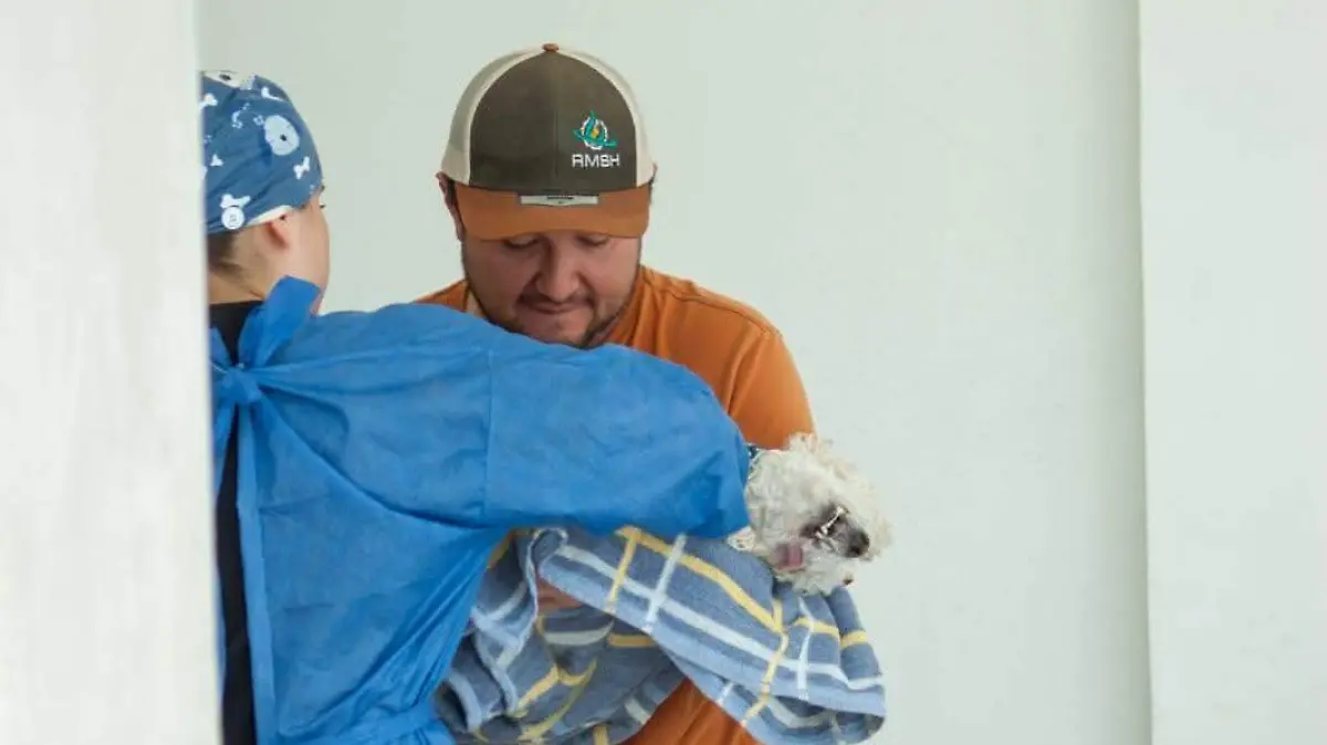 ESTERILIZACIONES CORTESIA- HOSPITAL DE MASCOTAS  (1)