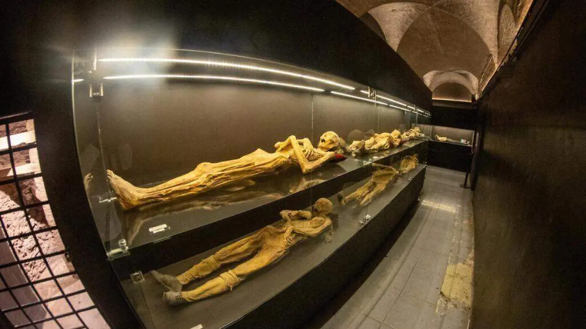 Guanajuato – Estancado el proyecto de rehabilitación del Museo de las Momias  (2)