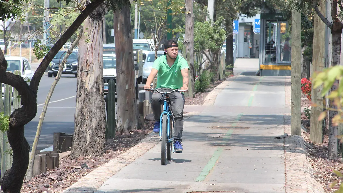 FCO MEZA - CICLOVIAS (11)