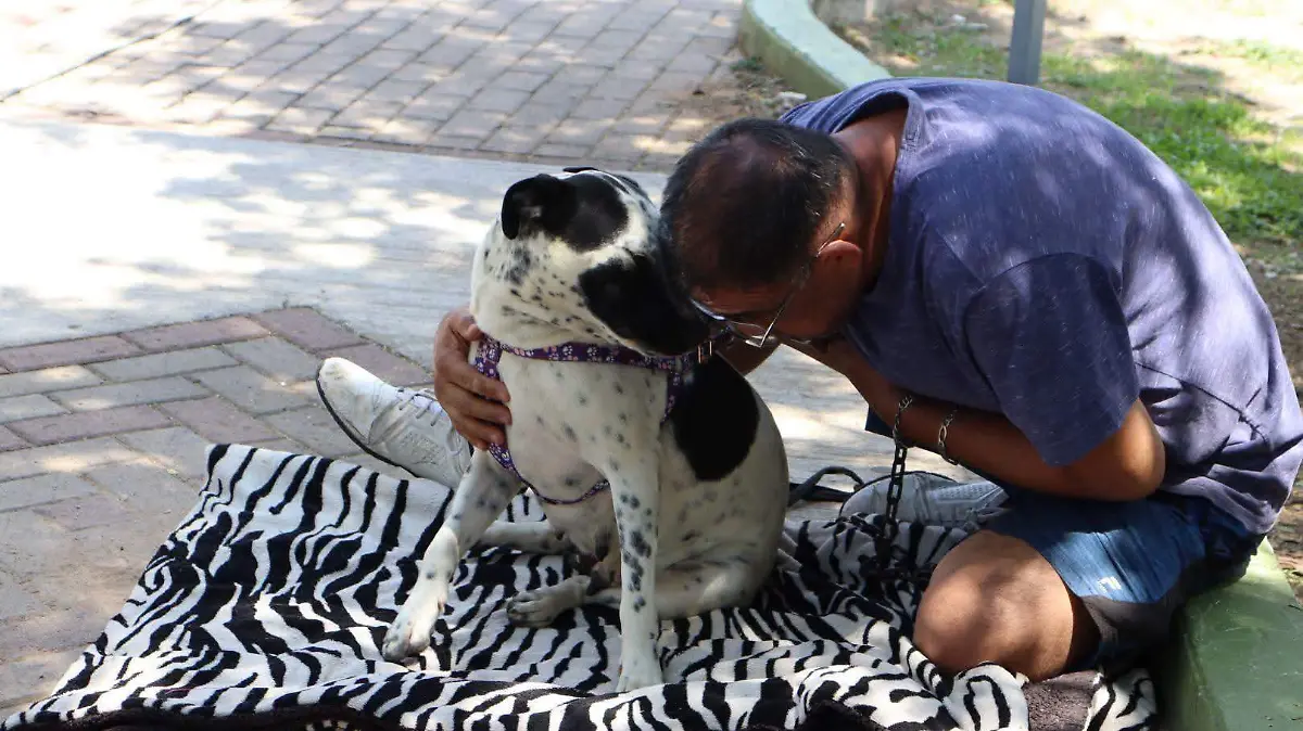 ESTERILIZACIONES 2 DE JULIO- CORTESIA HOSPITAL DE MASCOTAS