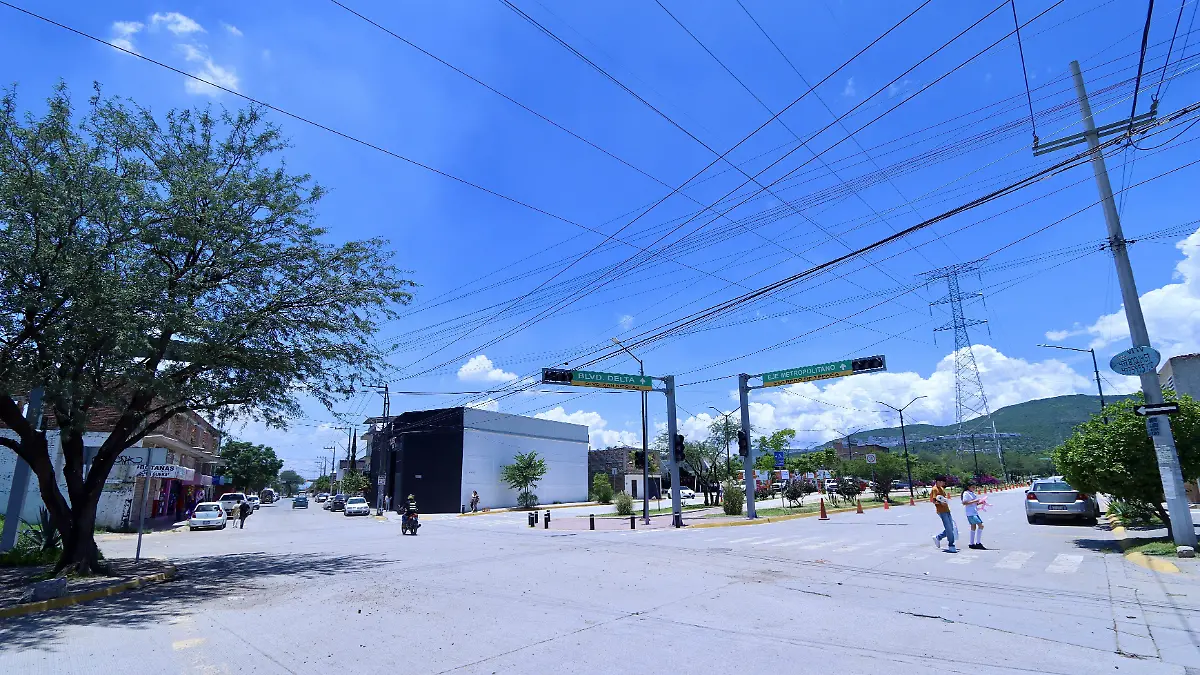 Desarrollo el Potrero Seguridad - Francisco Meza (2)
