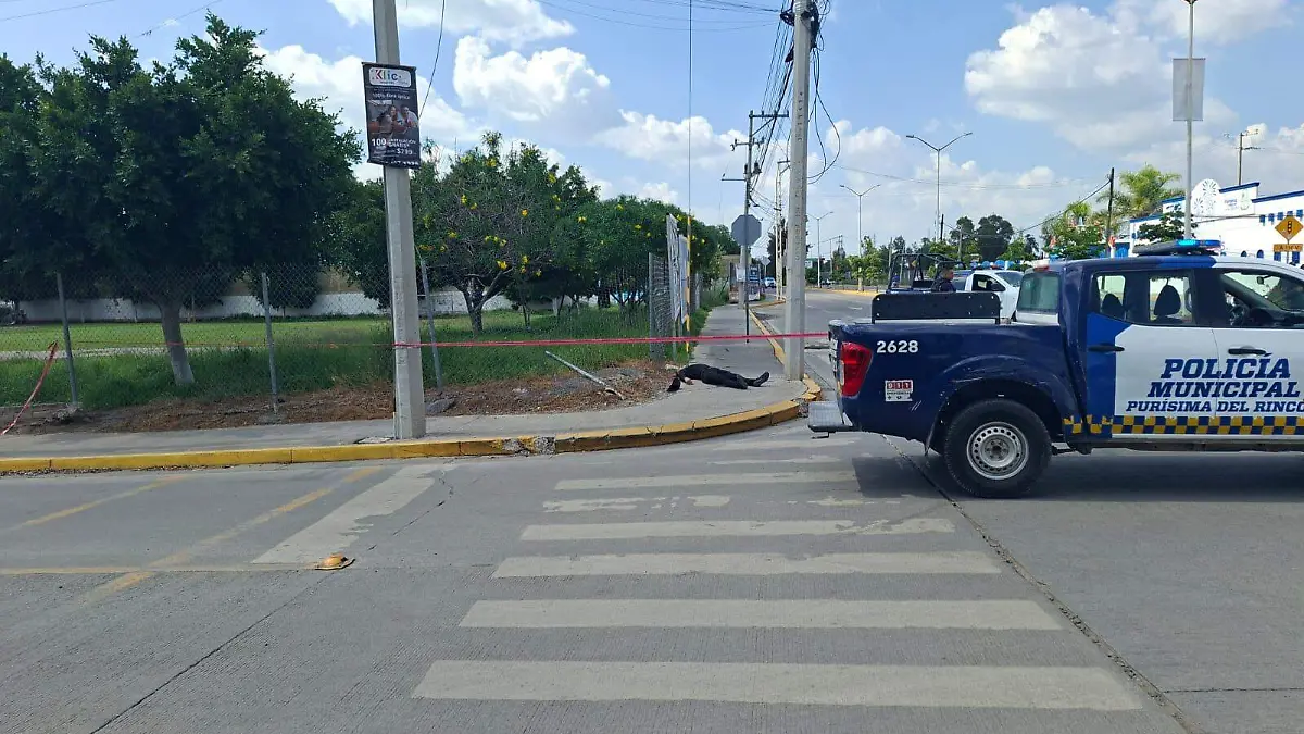 EJECUTADO PURÍSIMA