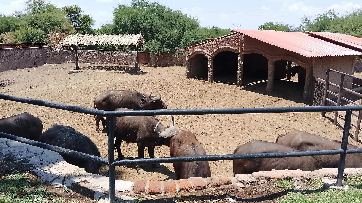 VISITANTES ZOO-ROCÍO GODÍNEZ  -2