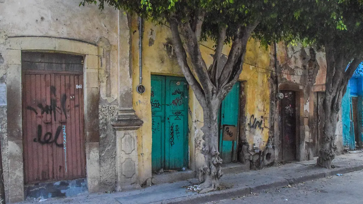 Casas Abandonadas - Francisco Meza (14)