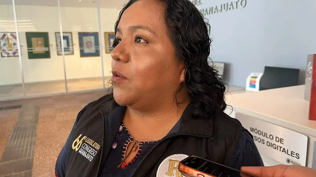 Guanajuato – Falta que se reconozca la personalidad jurídica de las personas originarias indígenas Plásida Calzada