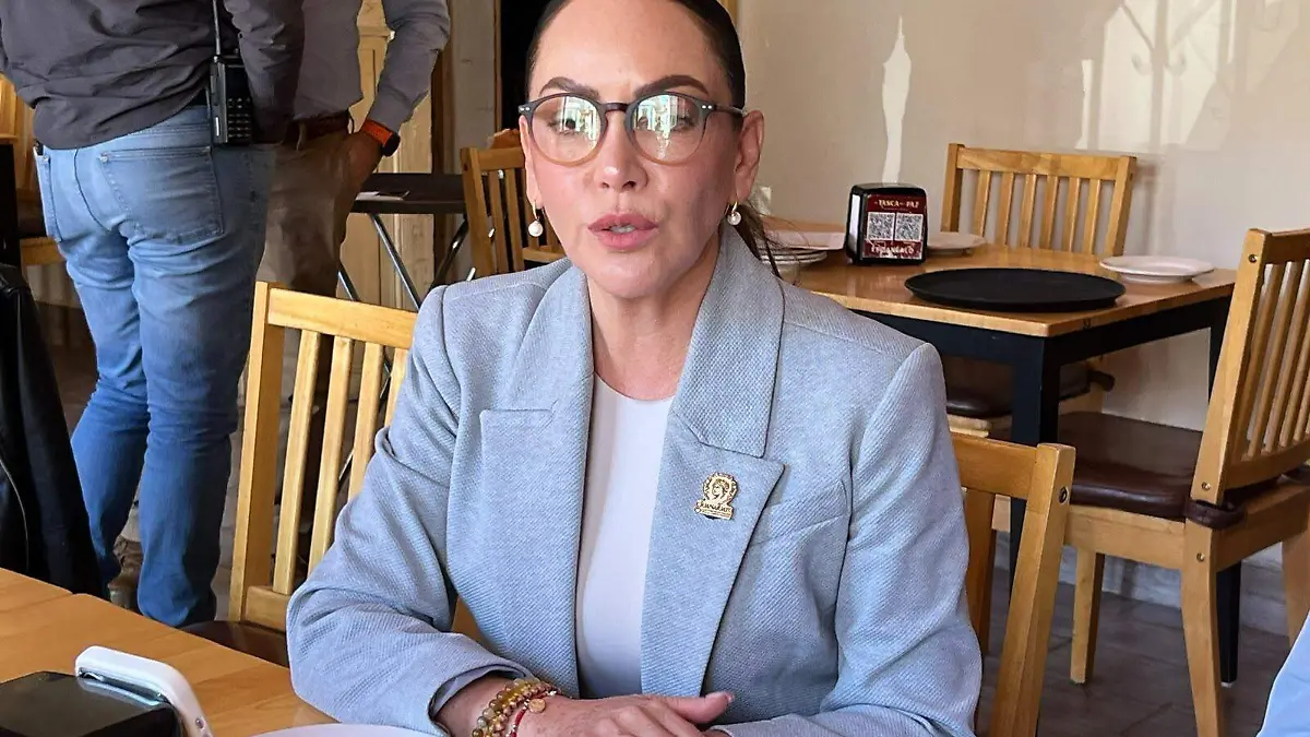 Guanajuato – Samantha Smith defiende su derecho de reelección, pese a que no se inscribirá como defensora