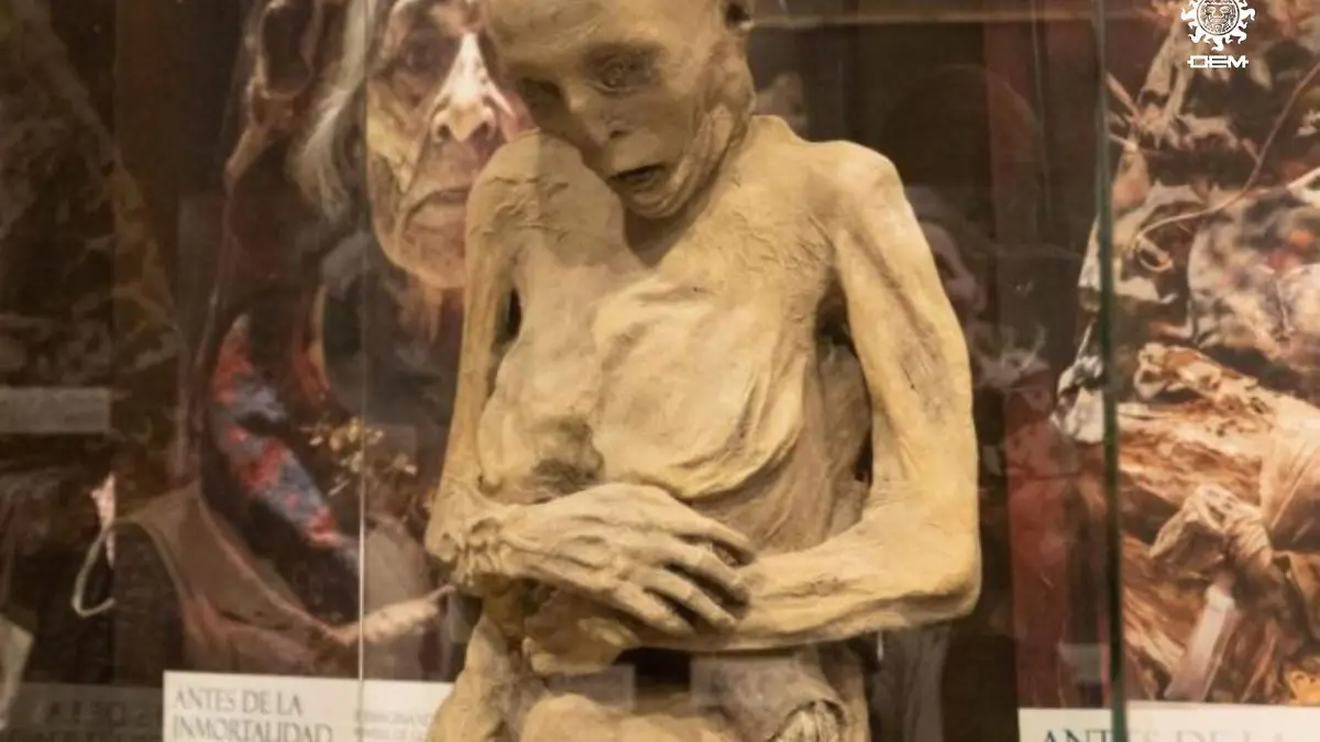Guanajuato – Momias 3D de Remigio Leroy y La Bruja, son las más difíciles de replicar