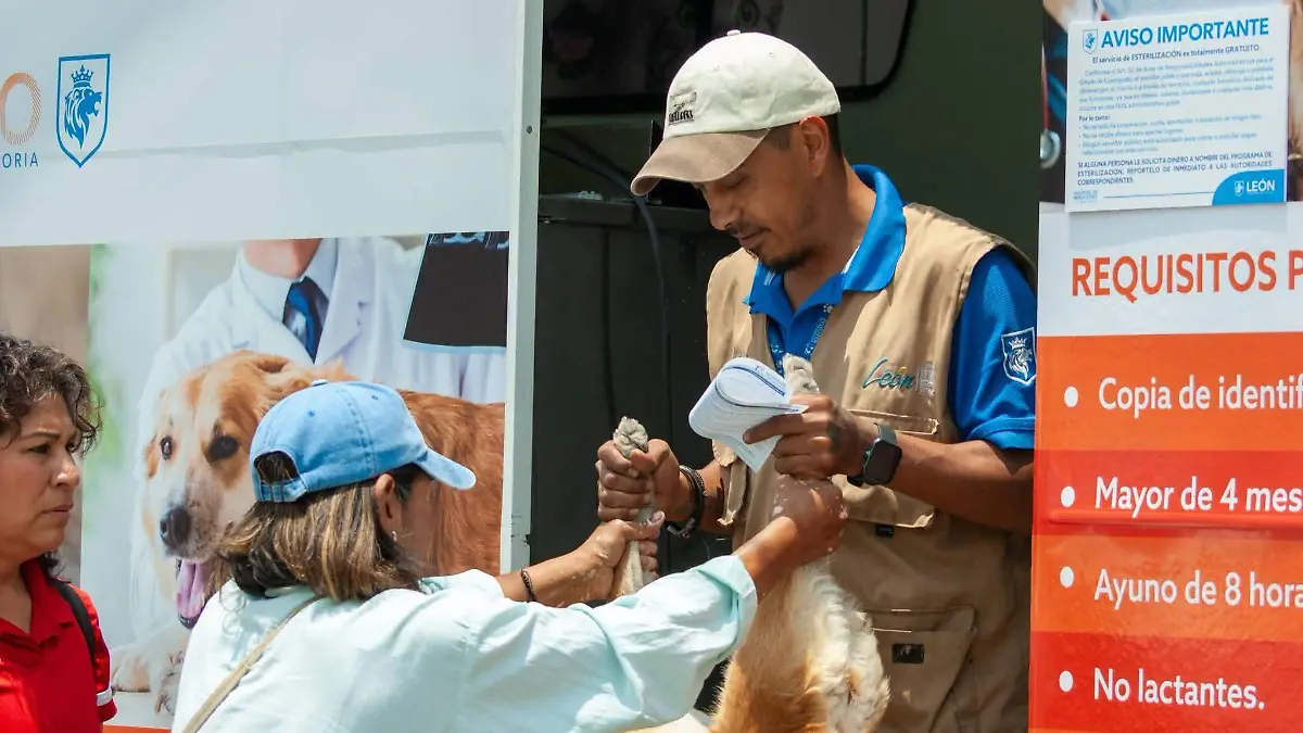 ESTERILIZACIONES-CORTESÍA HOSPITAL DE MASCOTAS-2