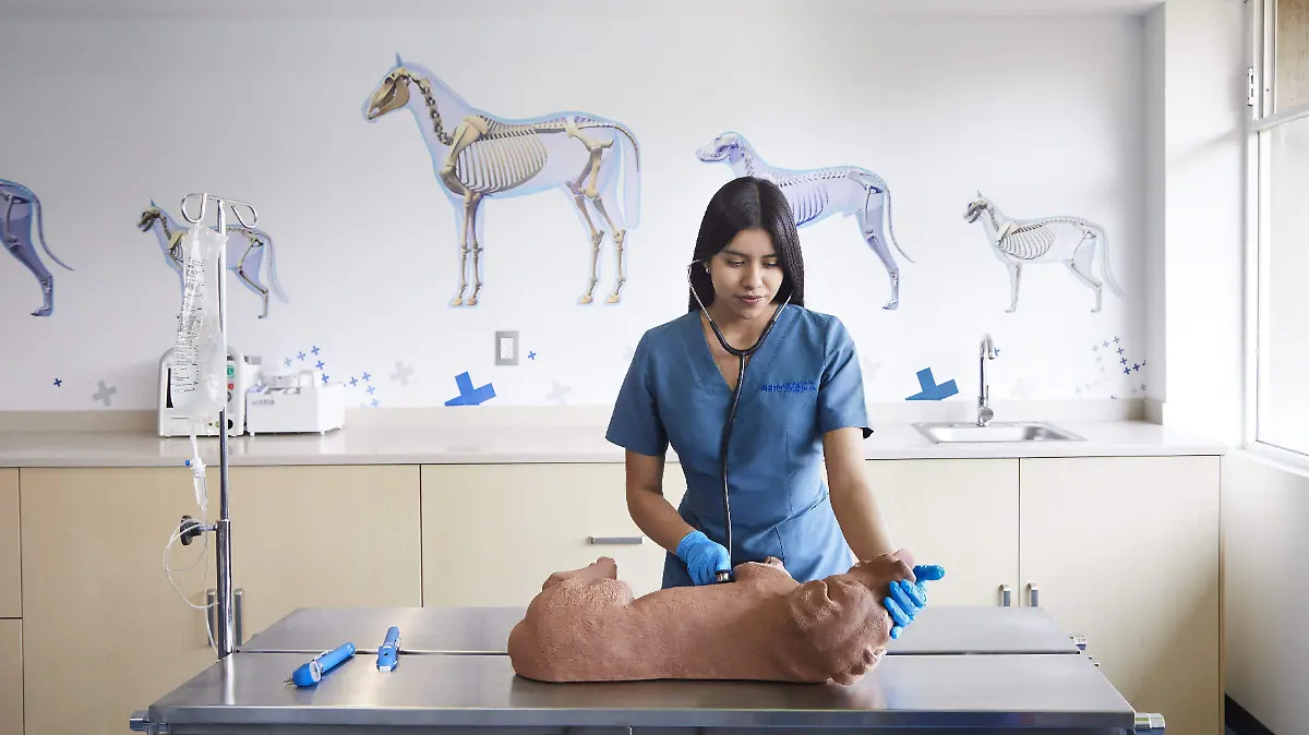 UNITEC Veterinaria 1_1