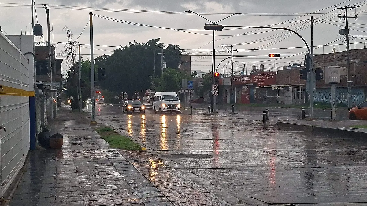 LEÓN LLUVIA