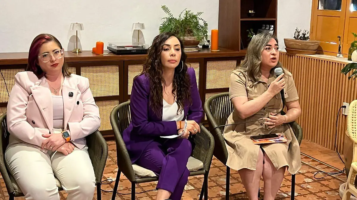 Guanajuato – Aumentan desapariciones de mujeres en Guanajuato, sostiene plataforma Mujeres Alerta