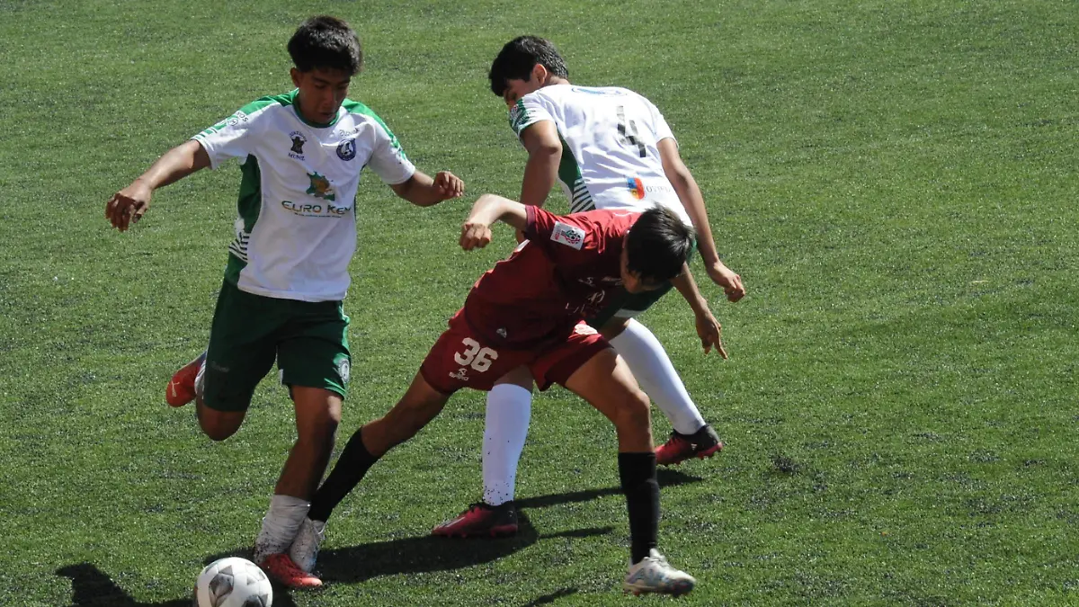 CACHORROS (1) (1) (1) (1) (1) (1) (1) (1) (2)