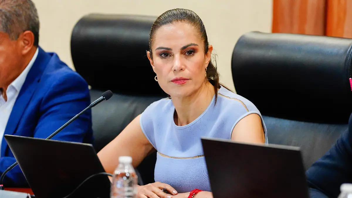 SESIÓN DE AYUNTAMIENTO ROCÍO GODÍNEZ (6)