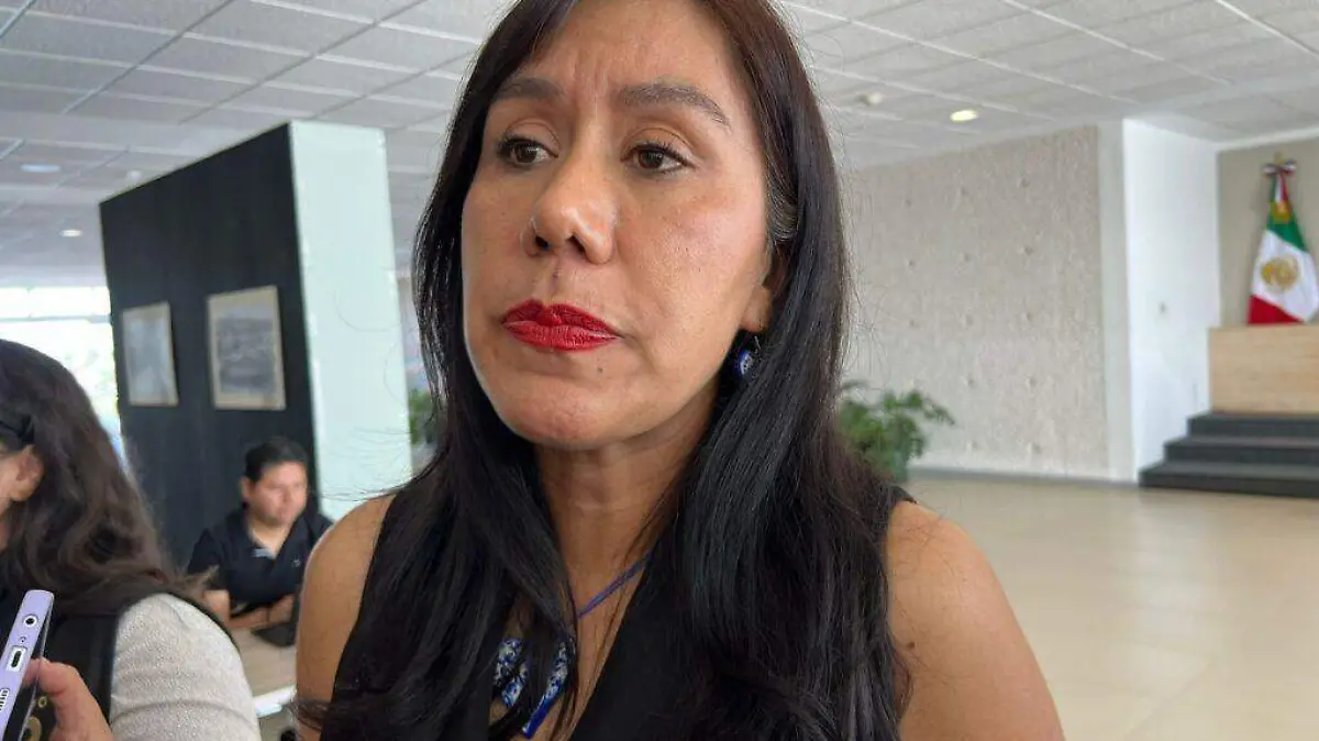Guanajuato – Llaman a la unión en el PAN, tras los procesos de designación de defensores en Guanajuato