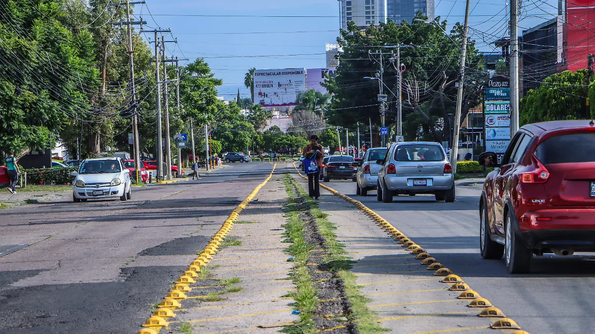 Paseo del Moral - Francisco Meza (8)