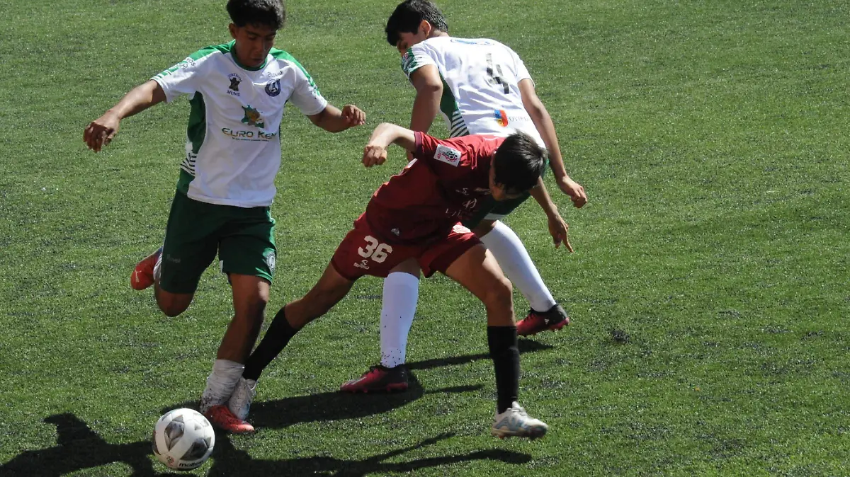 CACHORROS (1) (1) (1) (1) (1) (1) (1) (1) (2) (1)