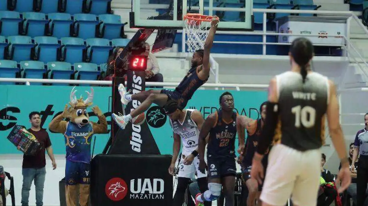 venados-basket