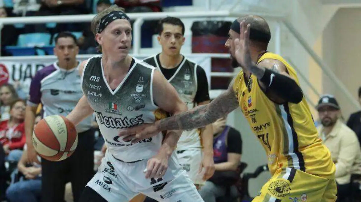 venados-basket
