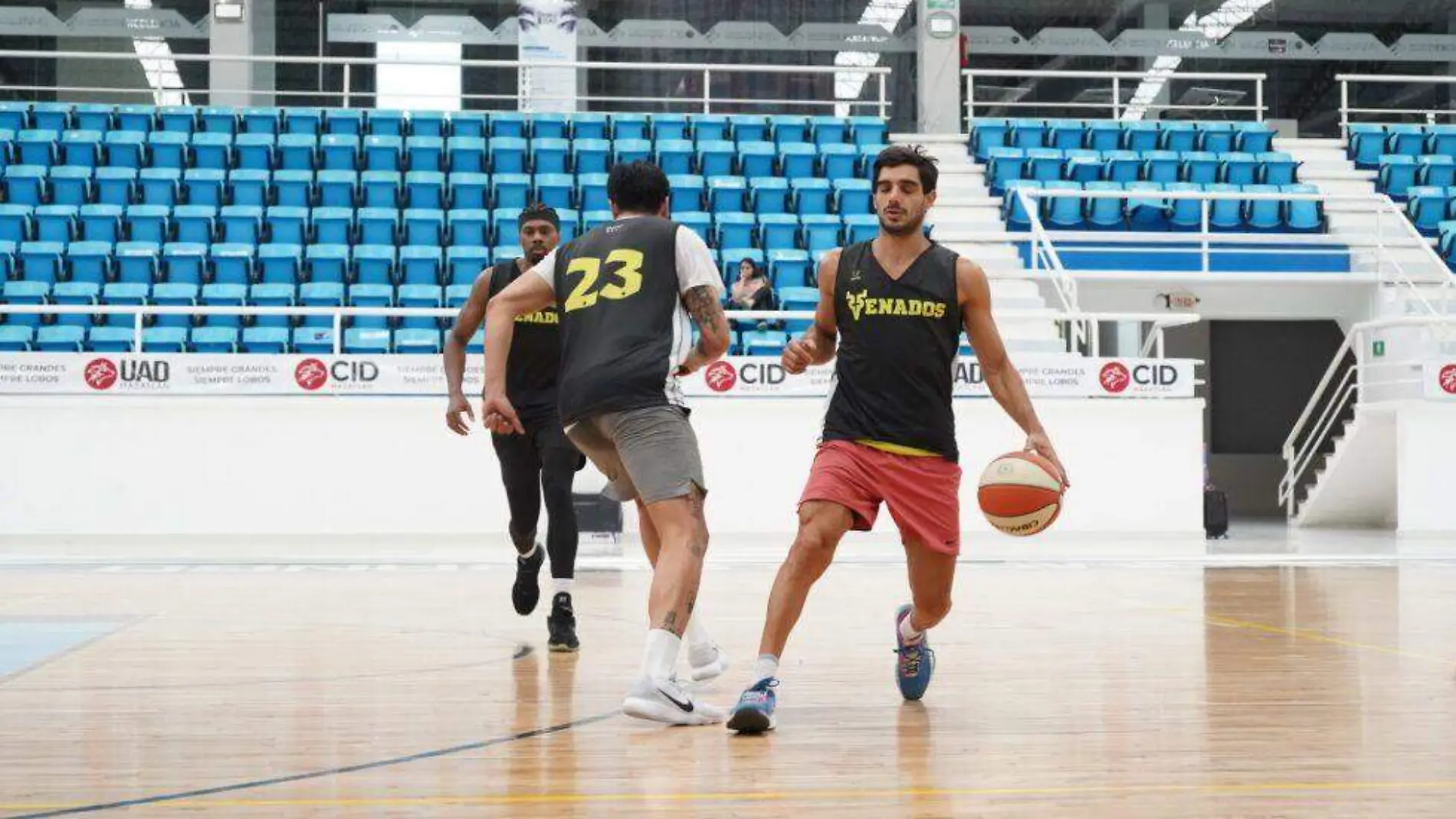 venados-baloncesto