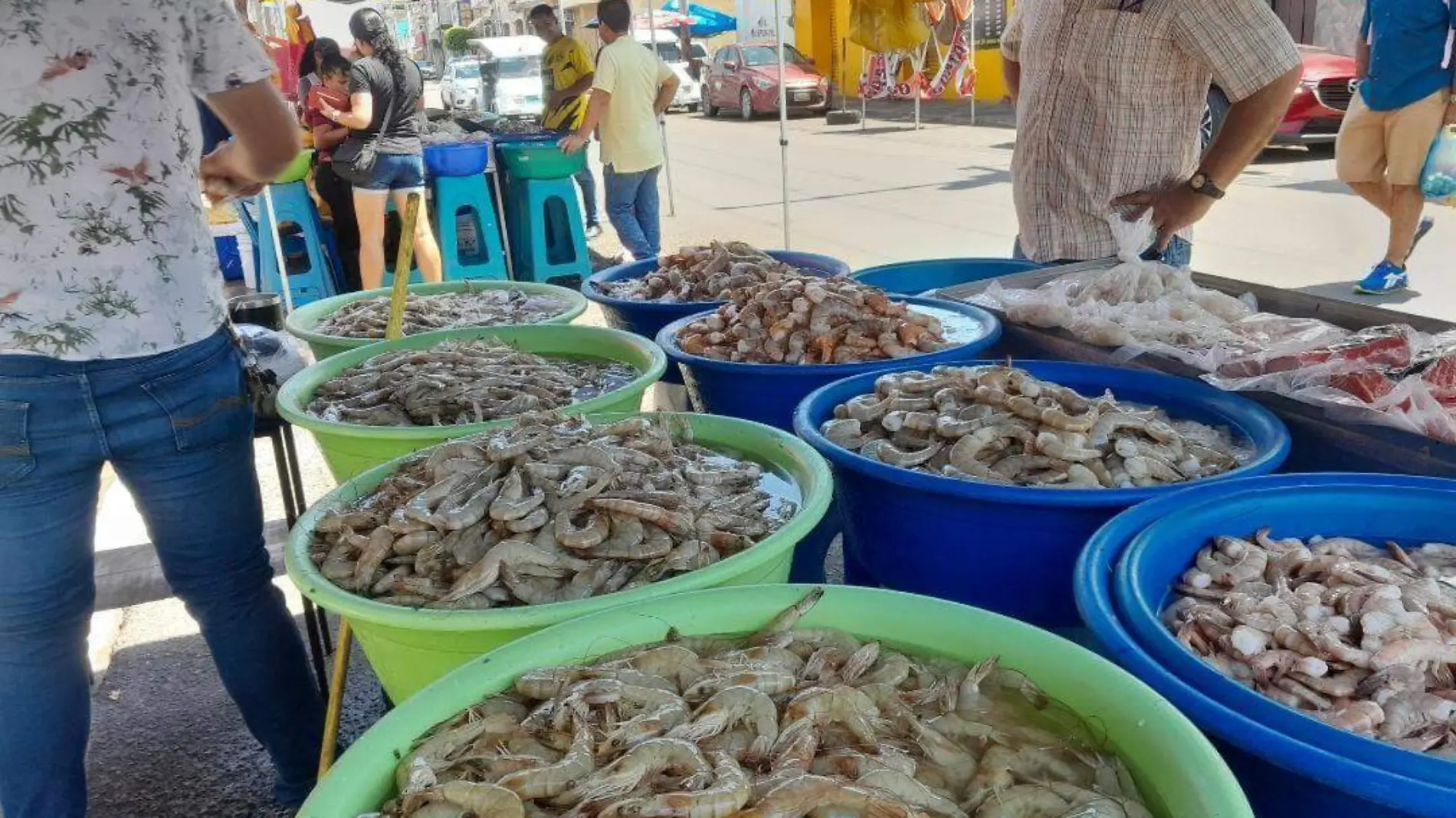 venta-de-camaron-mazatlan