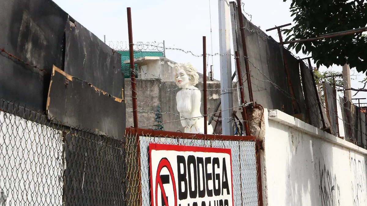 bodega-basura-carnaval