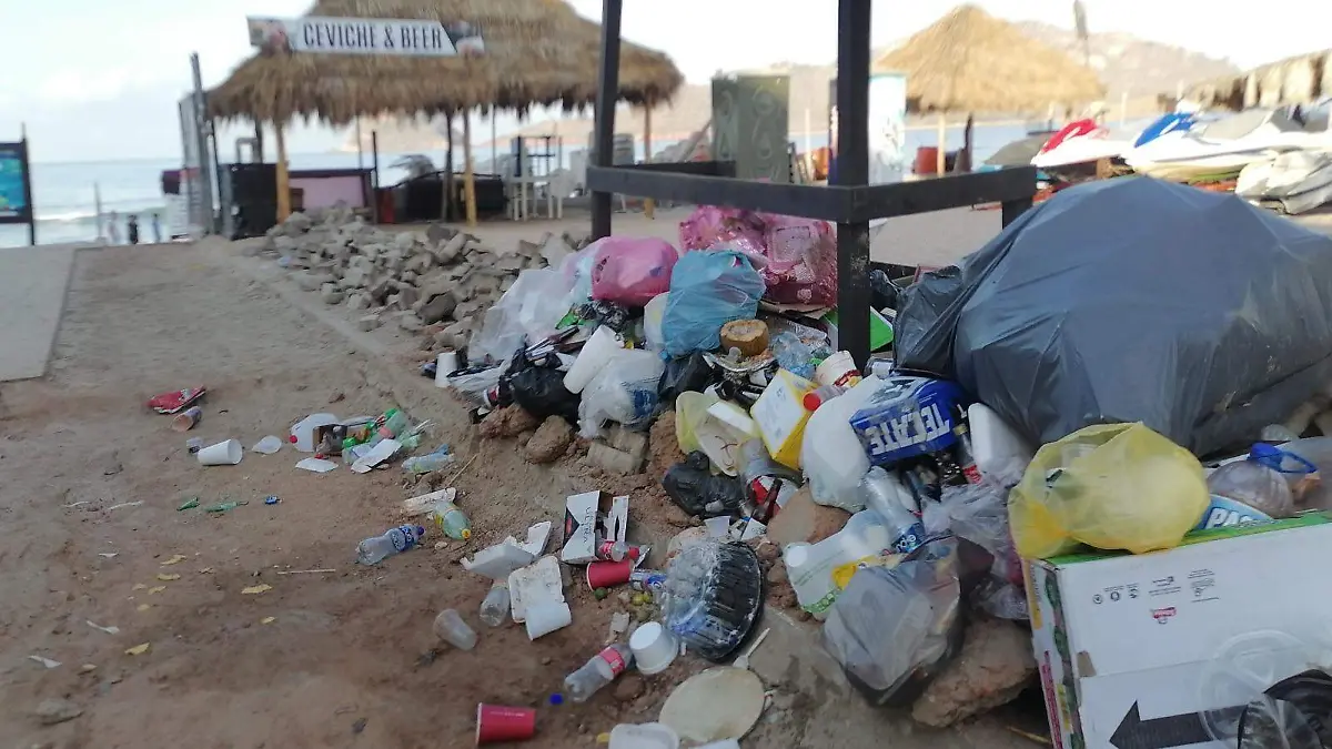 WhatsApp Image 2024-07-19 at 8.51.01 AM