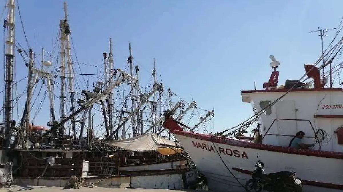 barcos