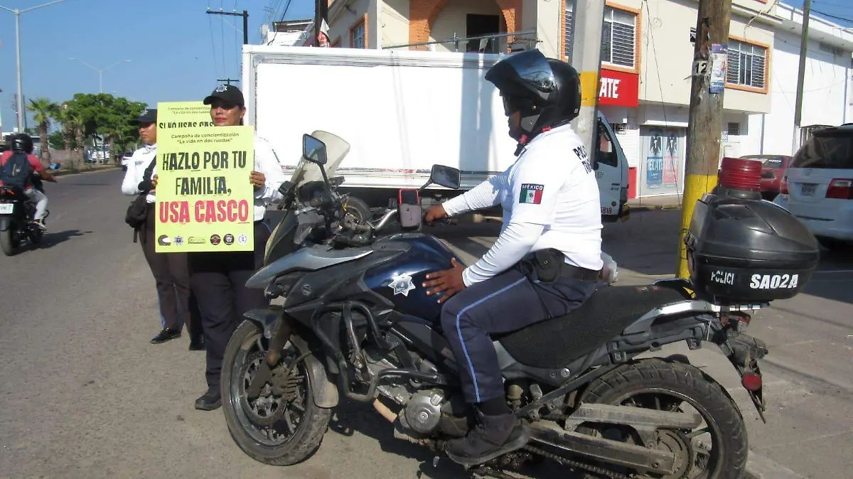 WhatsApp Image 2024-10-14 at 2.53.49 PM