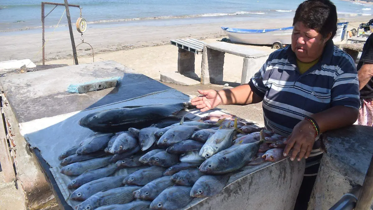 reportan-baja-pesca-de-pajaritos-mazatlan