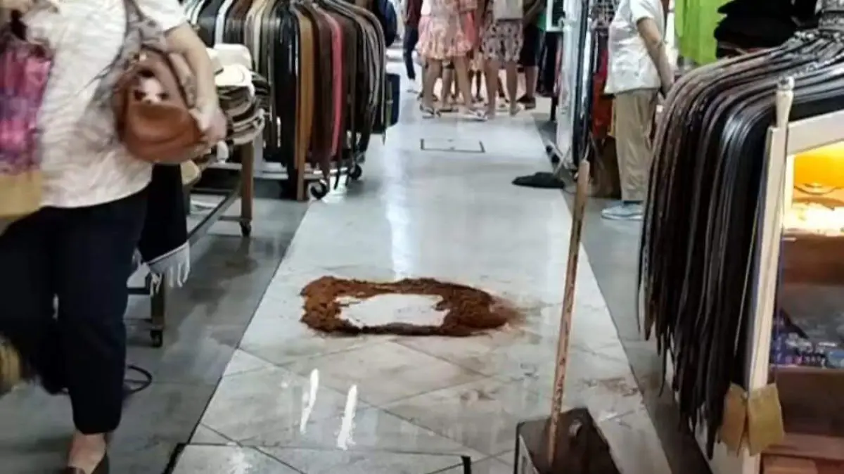 WhatsApp Image 2024-03-17 at 1.42.39 PM